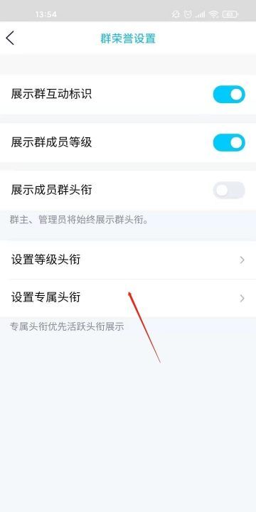 qq群头衔怎么设置,qq群怎么设置等级头衔lv图4