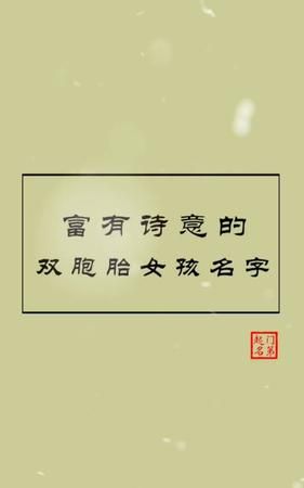 有诗意双胞胎名字大全,诗意的双胞胎女孩名字大全图1