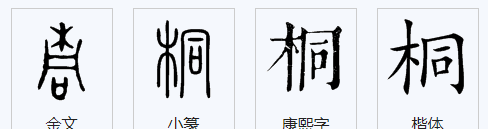 桐的笔顺笔画,桐字怎么写好看图2