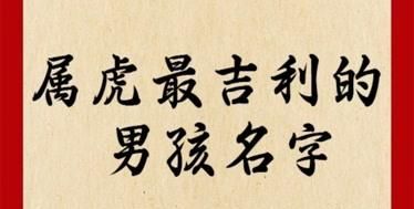 好听稀少的男孩名字属虎,好听稀少的男孩名字属虎一个字图2