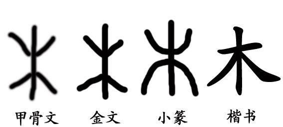 木字旁的字大全00个字,带木字旁的有哪些字可以组什么词图1