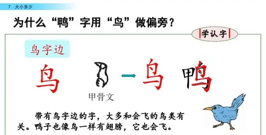 鸭的甲骨文怎么写图片