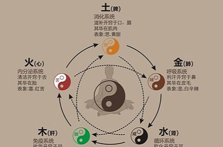 金木水火土对应的五脏,金木水火土对应的五脏图6