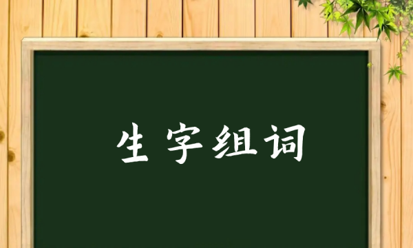 足字组词一年级,生字组词一年级图4