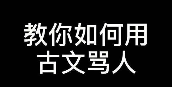 最文雅的骂人句子,最文雅的骂人古文长篇图8