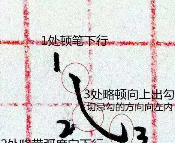 笔画大全表练字,幼儿园大班的笔画顺序表图13