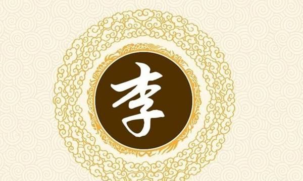 李姓最有创意的名字,李氏起名寓意好的新颖男孩名字大全图1