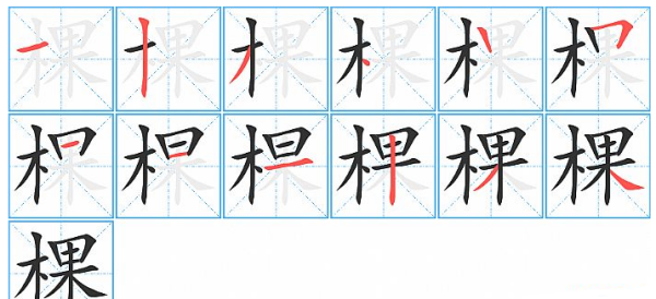 棵字组词,治棵组词有哪些两个字图1