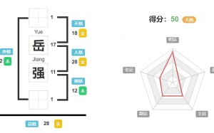 岳强的名字好吗,岳强的姓名测试打分? 姓名网