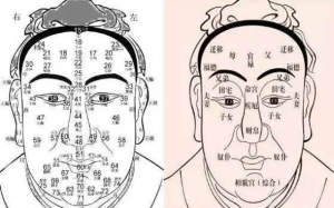 面相算命(易学面相算命)