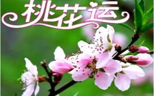 桃花煞(桃花煞是什么意思代表着什么)