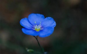 十二生肖中，三个生肖将在未来16天内发生大转折，贵人财富汇聚！