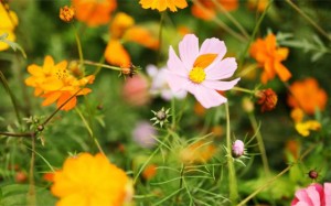 10月18日-10月21日，财神临门，好运连连，大赚钞票，有钱有势的3生肖